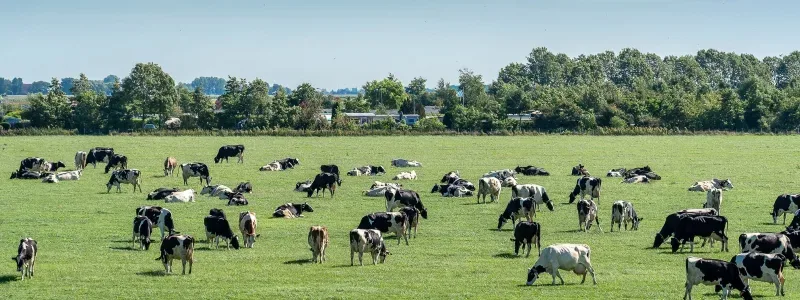 Kantoor foto van Vrieling Makelaardij