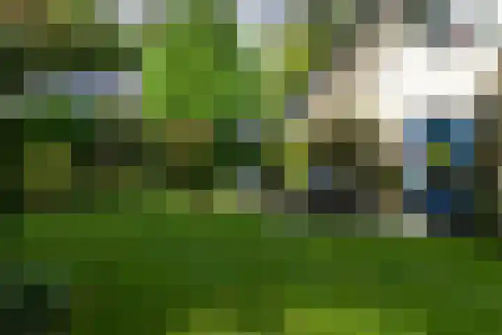Vrielinklanden 65 Enschede thumbnail 28