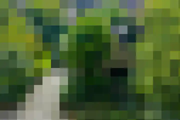 Vrielinklanden 65 Enschede thumbnail 30