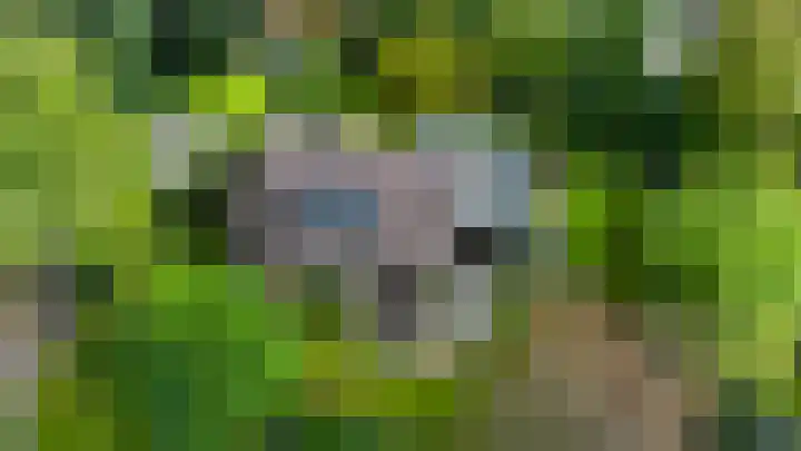 Vrielinklanden 65 Enschede thumbnail 31