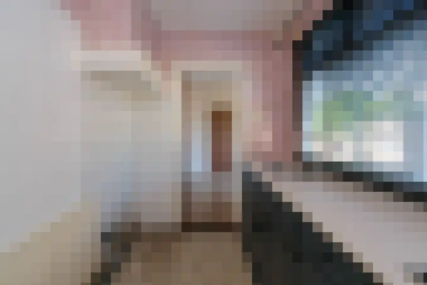Vrielinkslaan 10 Almelo thumbnail 12