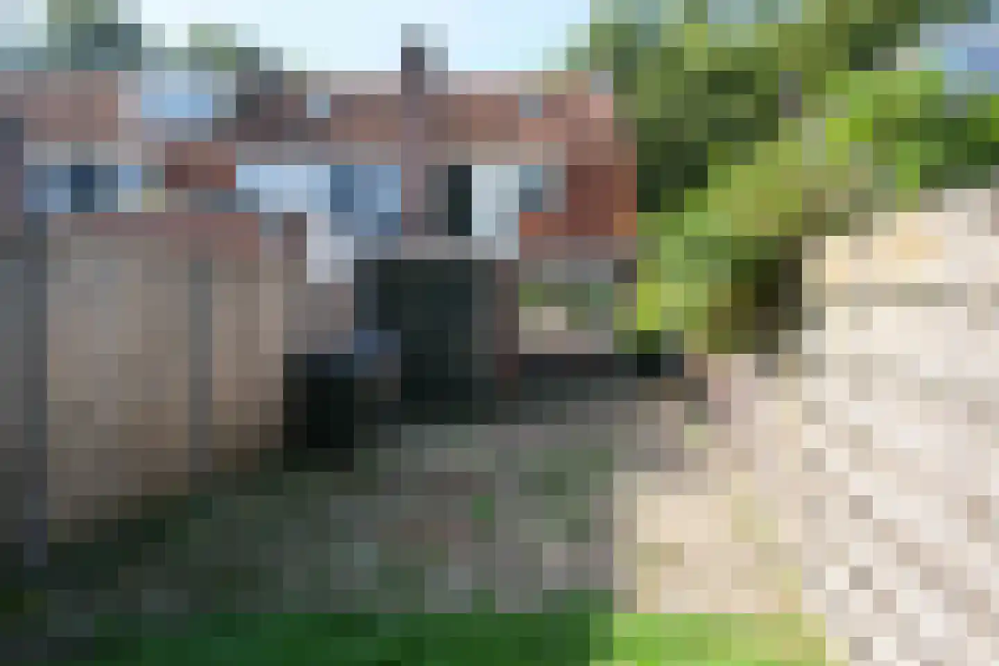 Vrielinkslaan 10 Almelo thumbnail 23
