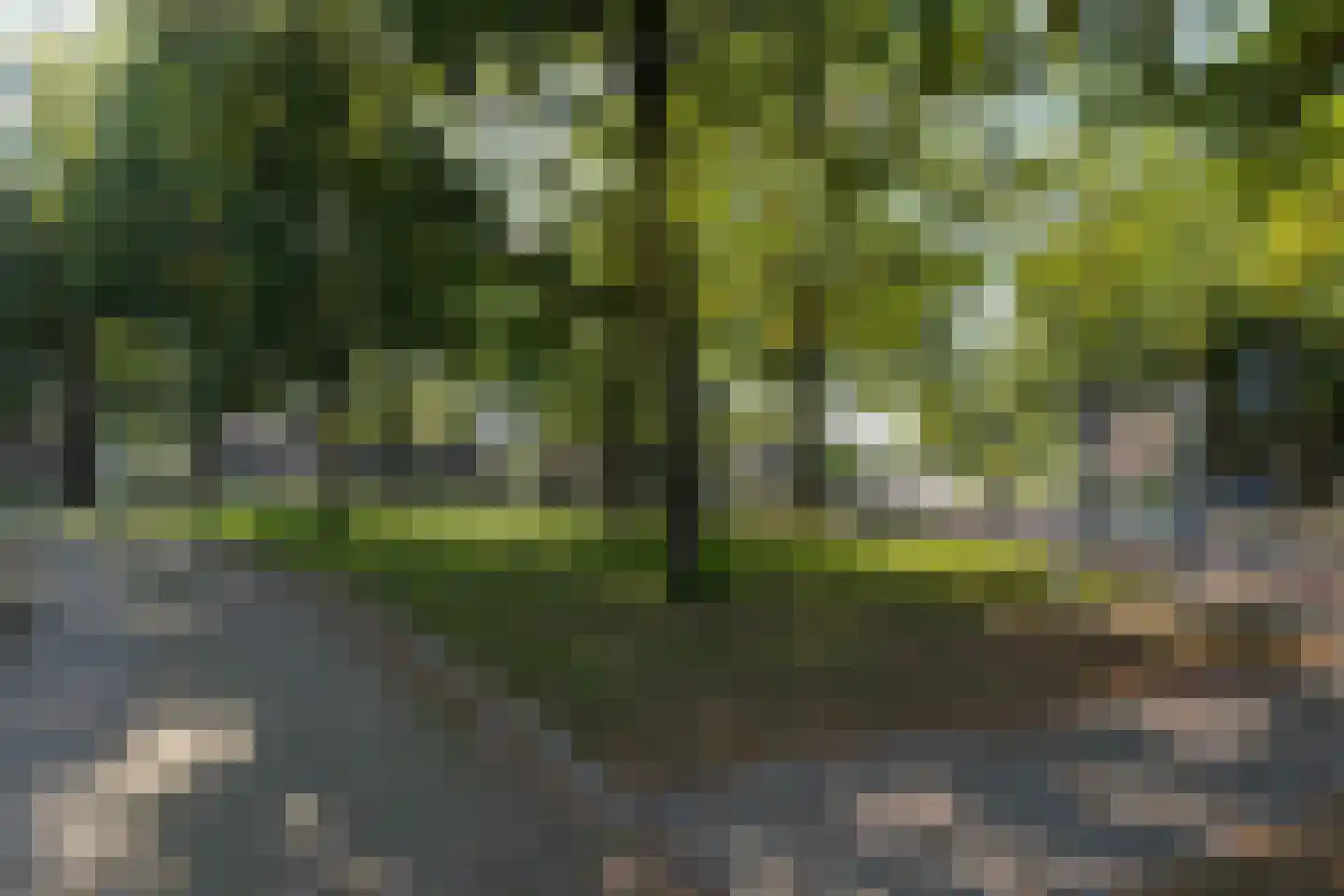 Vrielinkslaan 10 Almelo thumbnail 25