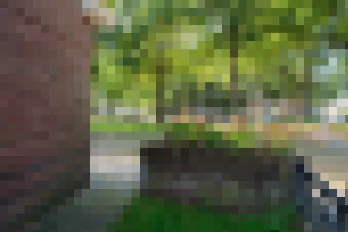 Vrielinkslaan 10 Almelo thumbnail 6