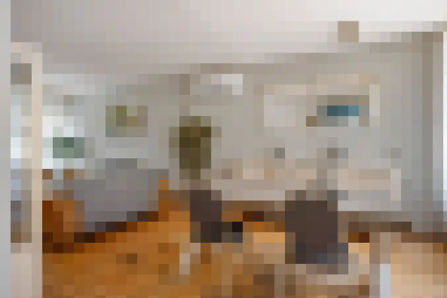 Vriendenkringstraat 1 Limbricht thumbnail 19
