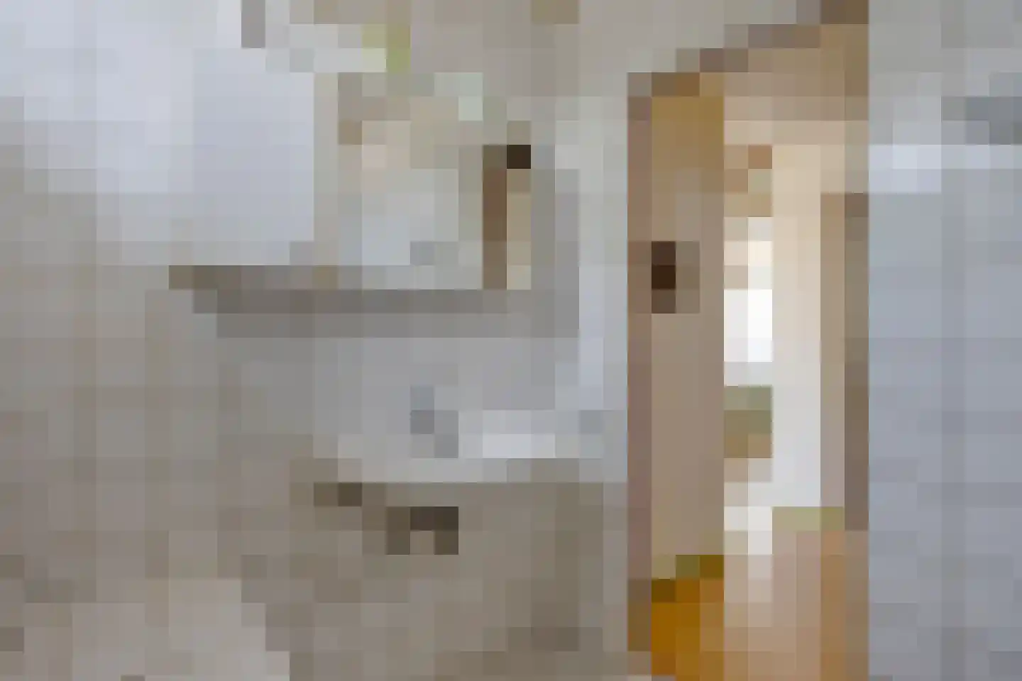 Vriendenkringstraat 1 Limbricht thumbnail 33