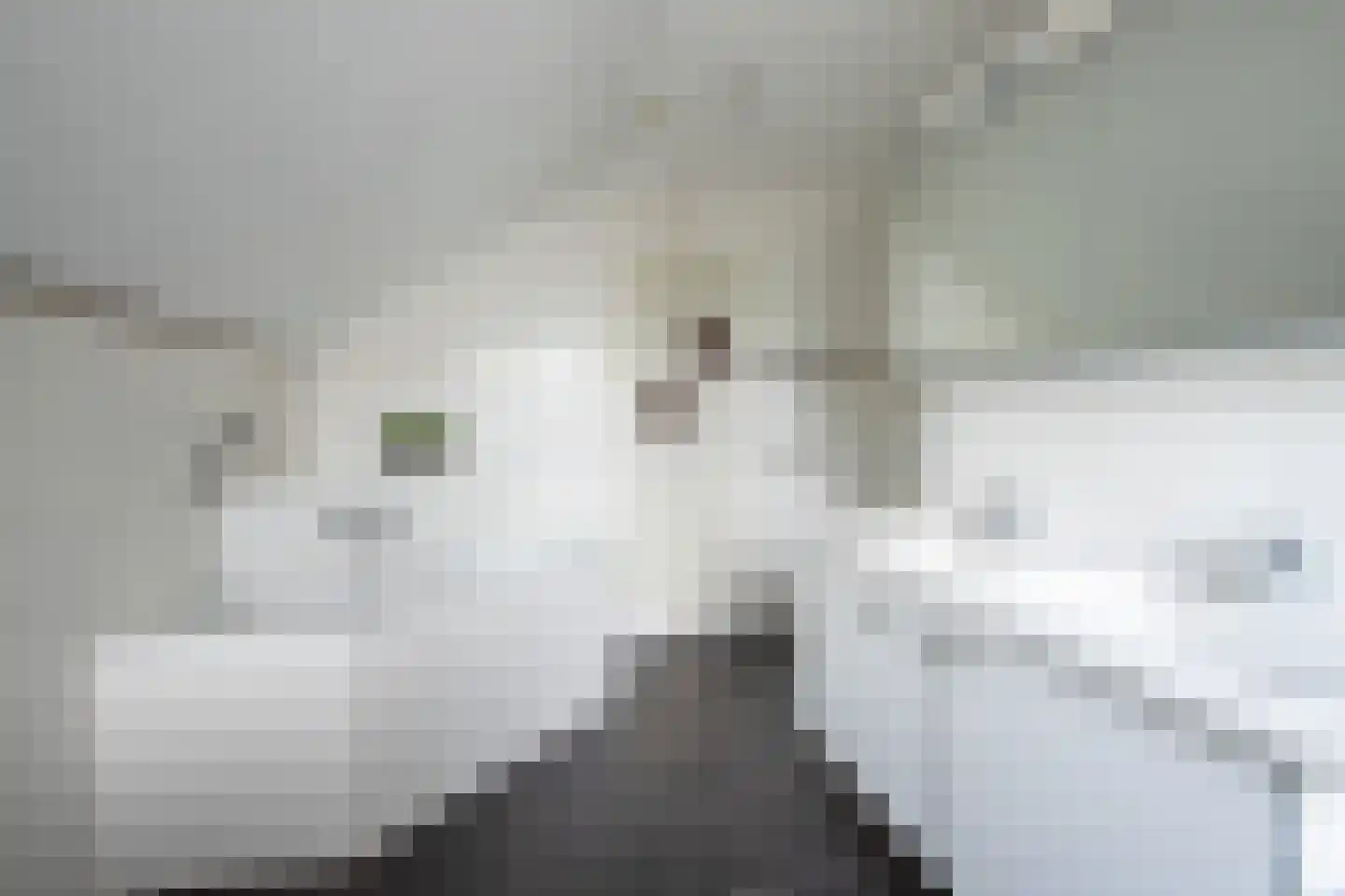 Vriendenkringstraat 28 Limbricht thumbnail 19
