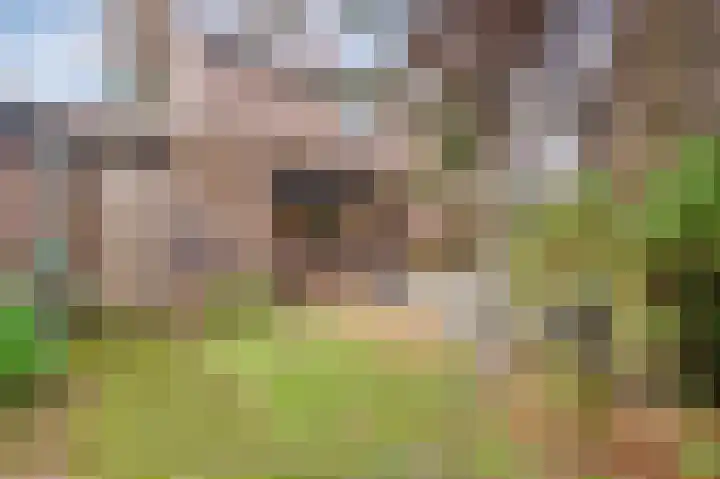 Vriendenkringstraat 40 Limbricht thumbnail 20