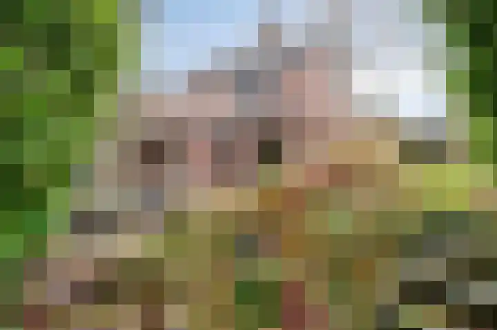 Vriendenkringstraat 40 Limbricht thumbnail 21