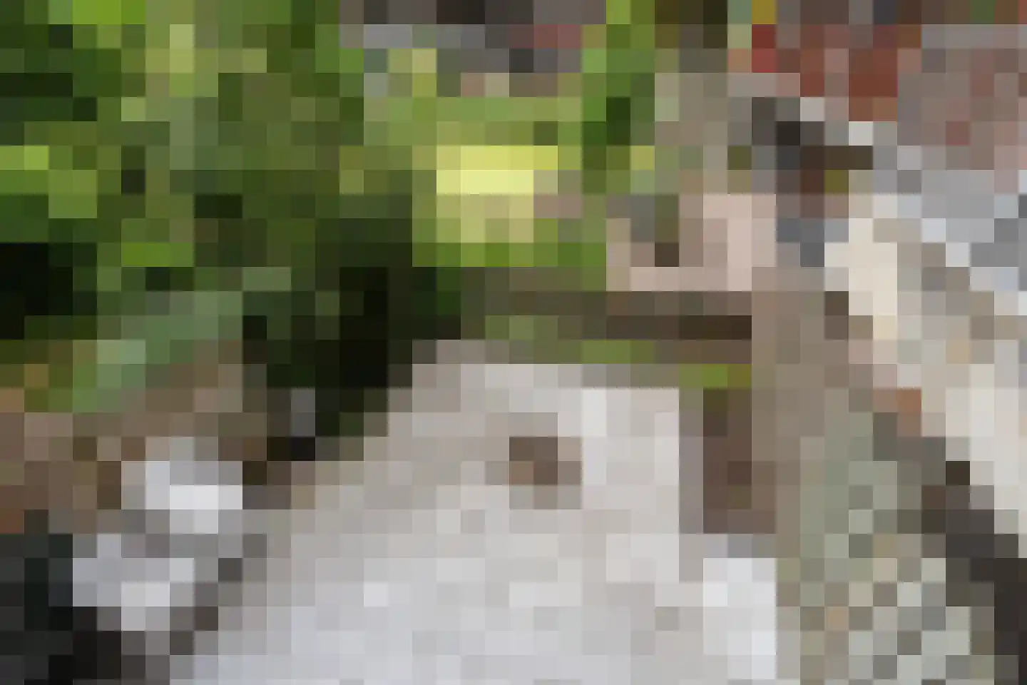 Vriendenlaan 14 Rotterdam thumbnail 21