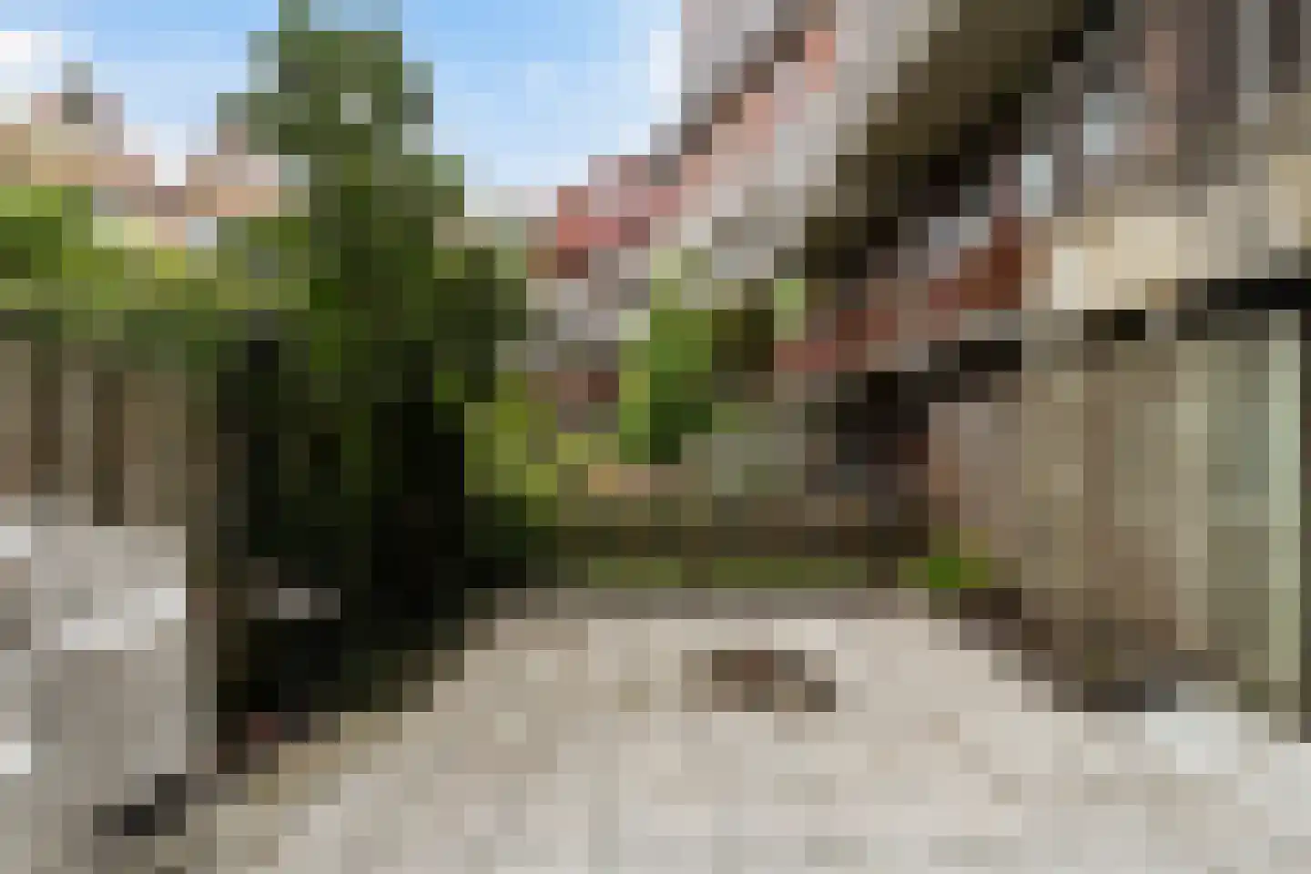 Vriendenlaan 14 Rotterdam thumbnail 22