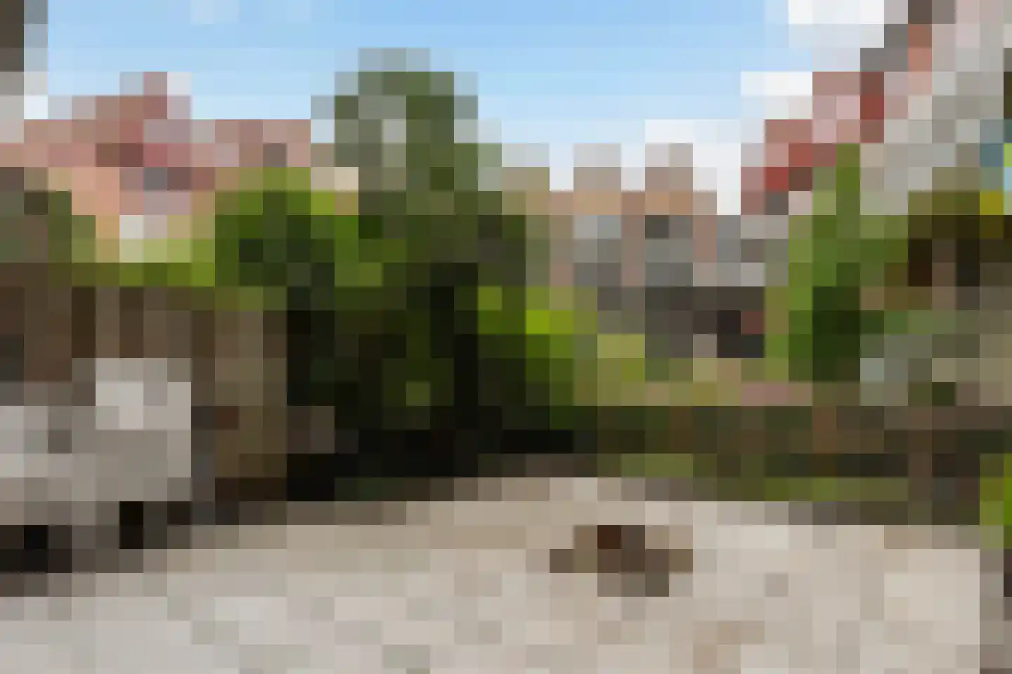 Vriendenlaan 14 Rotterdam thumbnail 23