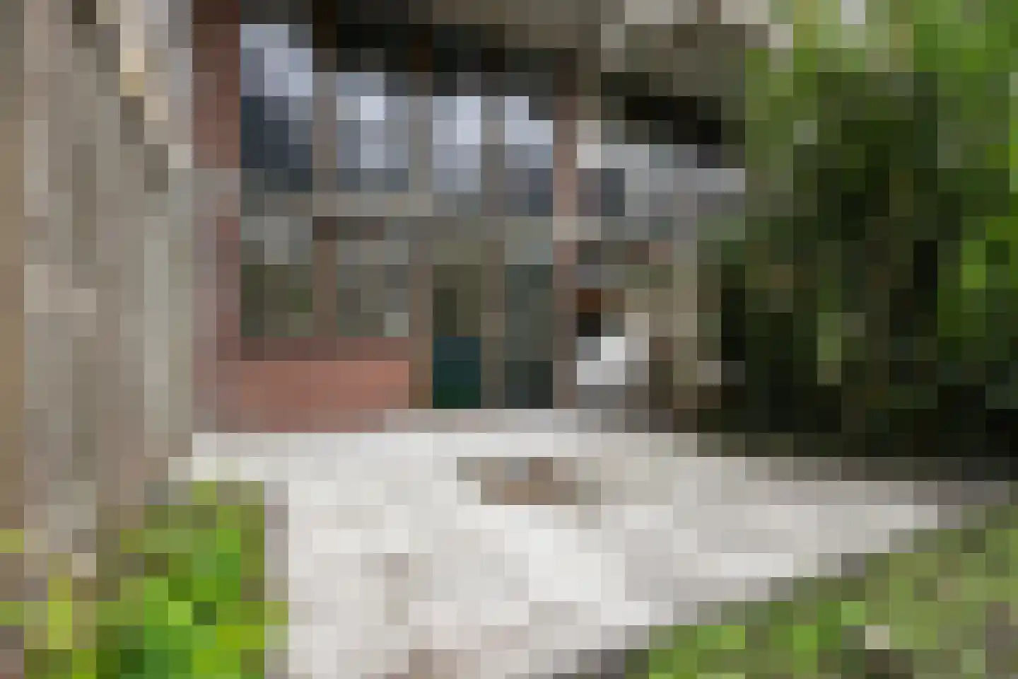 Vriendenlaan 14 Rotterdam thumbnail 24