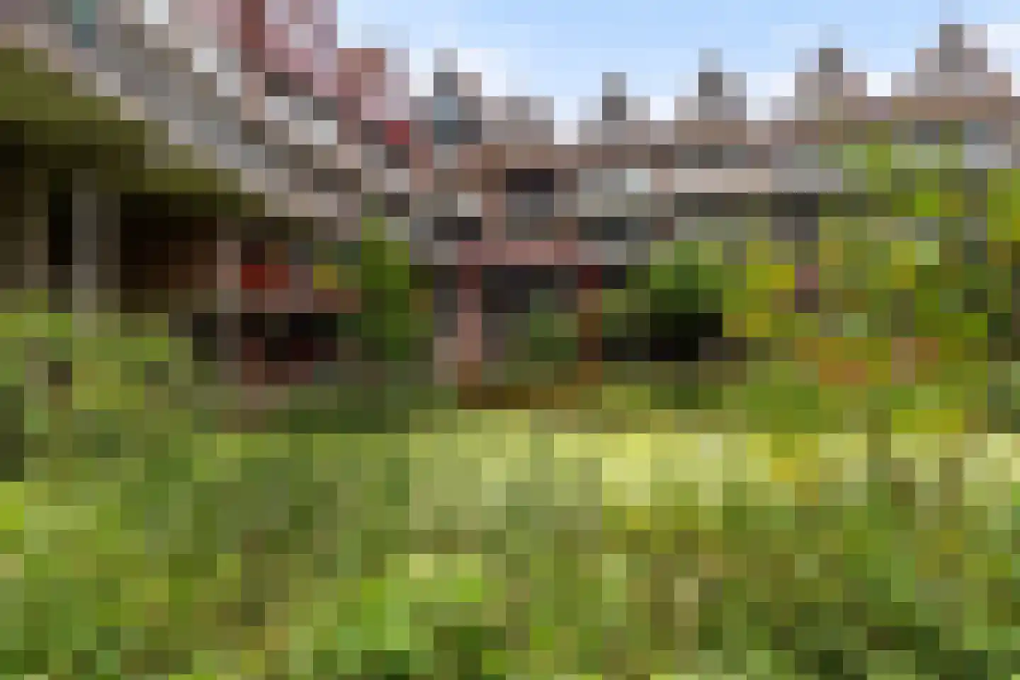 Vriendenlaan 14 Rotterdam thumbnail 25