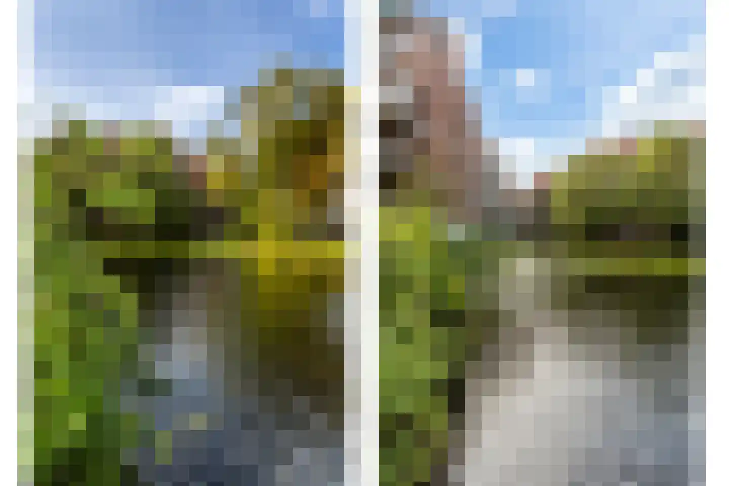 Vriendenlaan 14 Rotterdam thumbnail 26