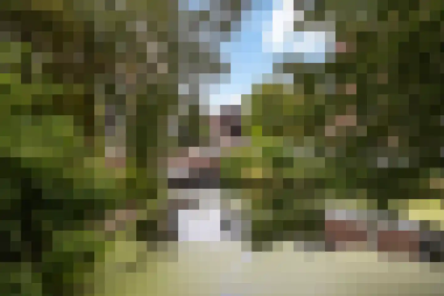 Vriendenlaan 14 Rotterdam thumbnail 27
