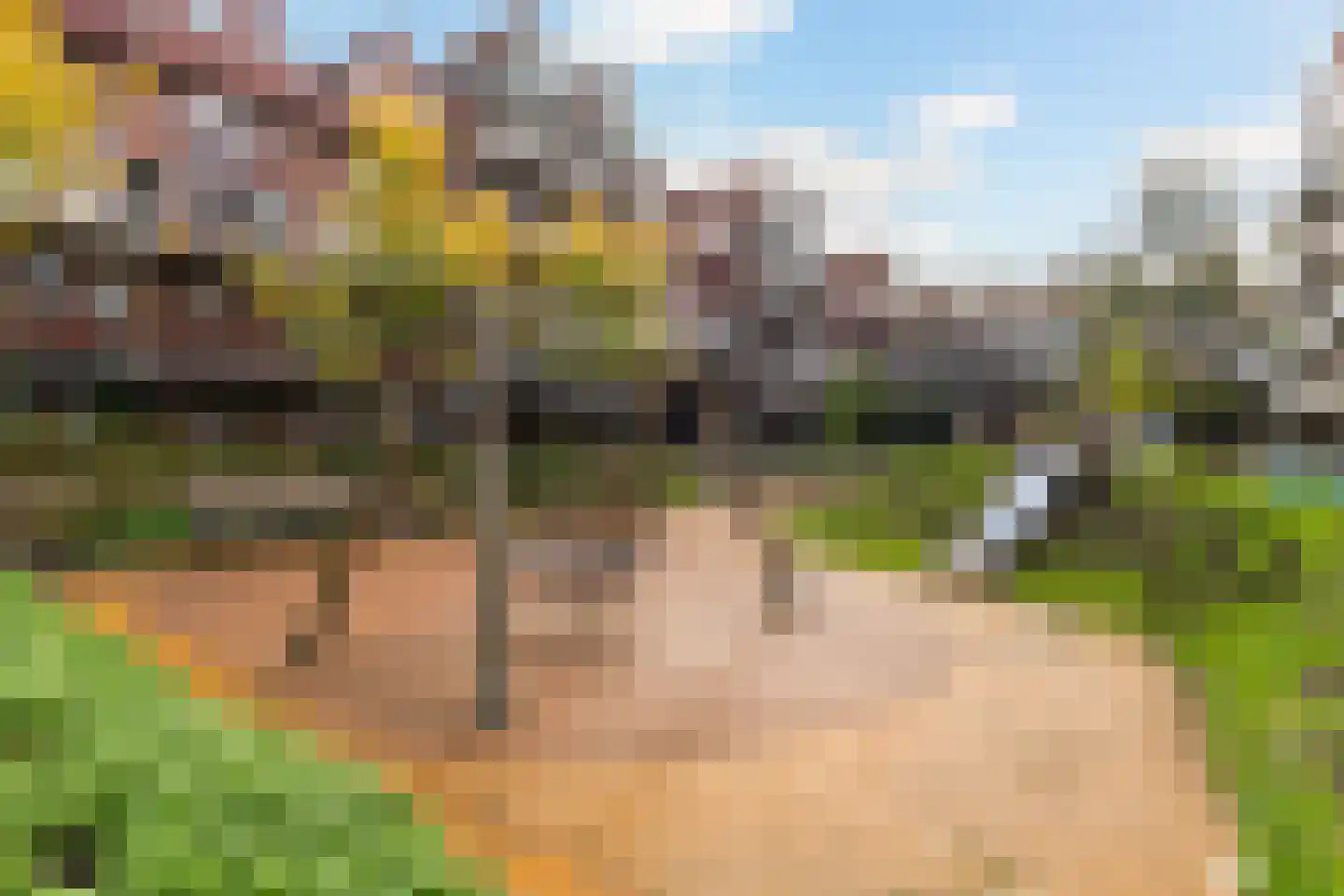 Vriendenlaan 14 Rotterdam thumbnail 28