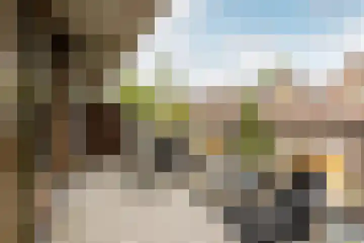 Vriendenlaan 18 Rotterdam thumbnail 10