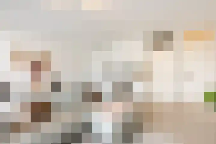 Vriendenlaan 18 Rotterdam thumbnail 12
