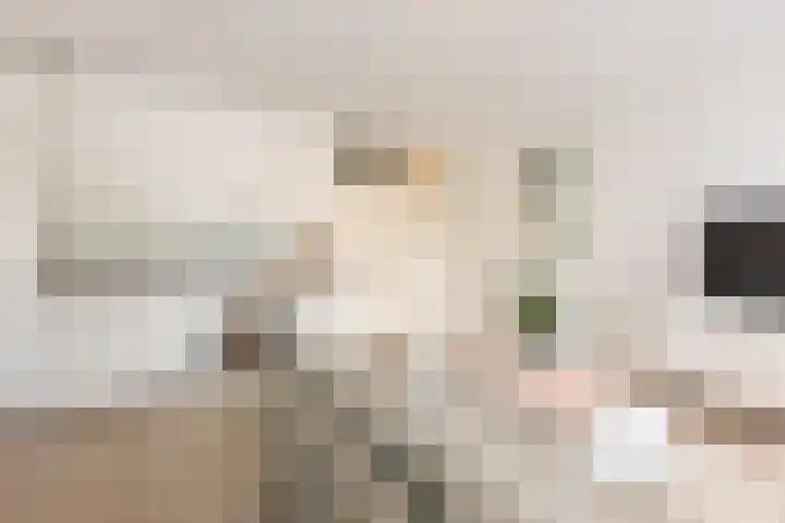 Vriendenlaan 18 Rotterdam thumbnail 13