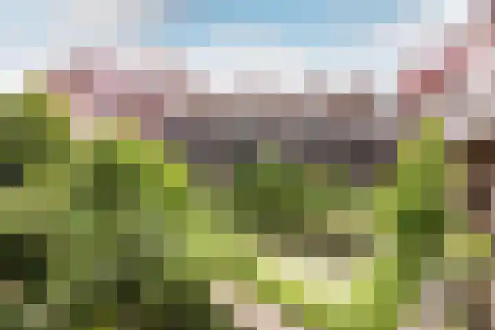 Vriendenlaan 18 Rotterdam thumbnail 20