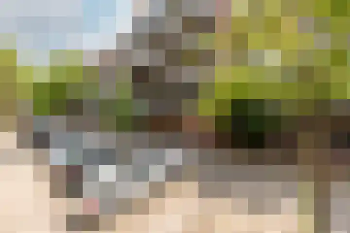 Vriendenlaan 18 Rotterdam thumbnail 21