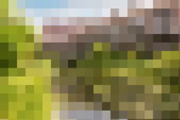 Vriendenlaan 18 Rotterdam thumbnail 23