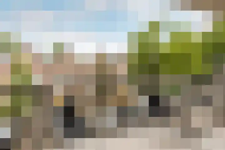 Vriendenlaan 18 Rotterdam thumbnail 9