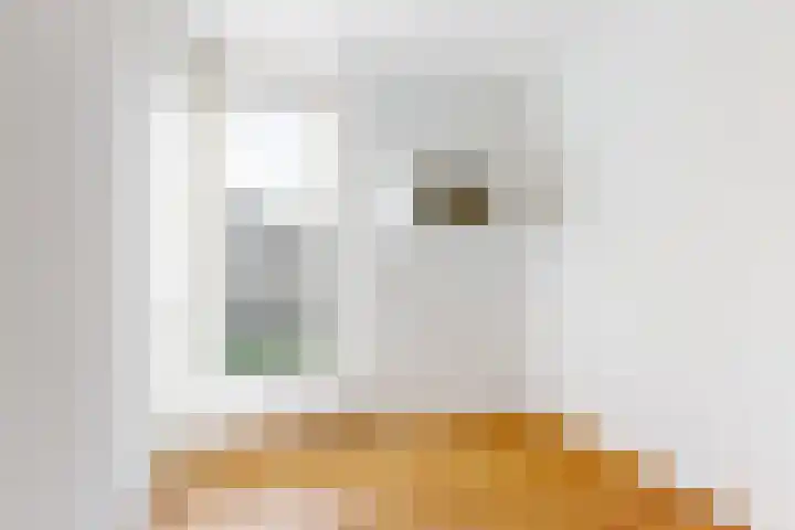 Vriendschaplaan 11 Blokker thumbnail 22