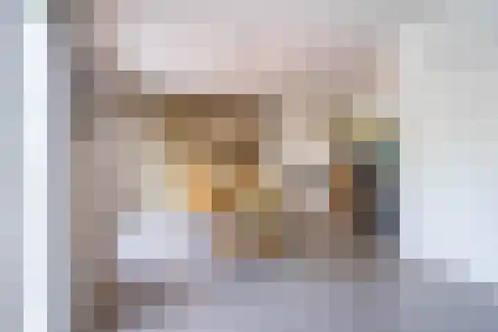 Vriesdongen 2 Breda thumbnail 11