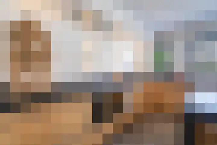 Vriesdongen 2 Breda thumbnail 13