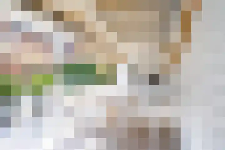 Vriesdongen 2 Breda thumbnail 20