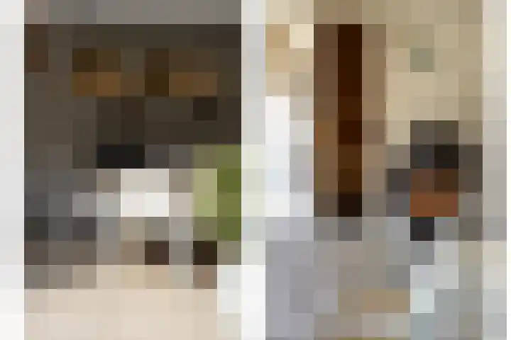 Vriesdongen 2 Breda thumbnail 22