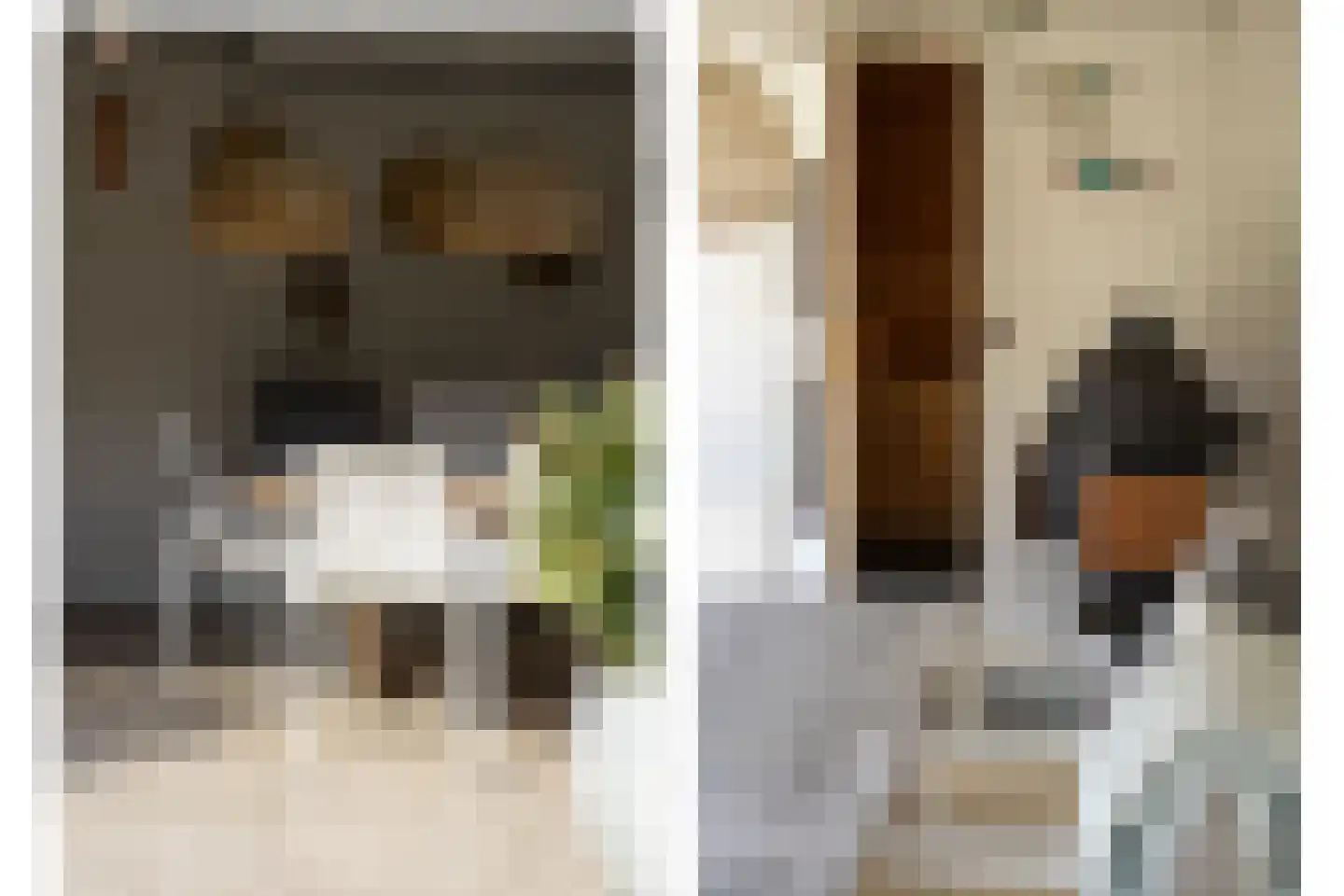 Vriesdongen 2 Breda thumbnail 22