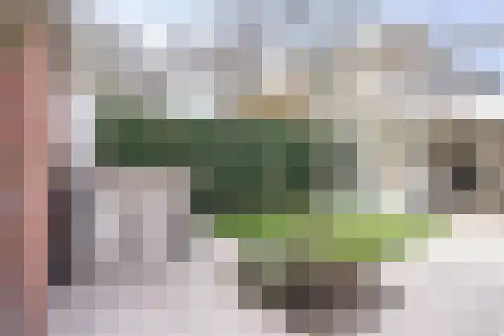 Vriesdongen 2 Breda thumbnail 25