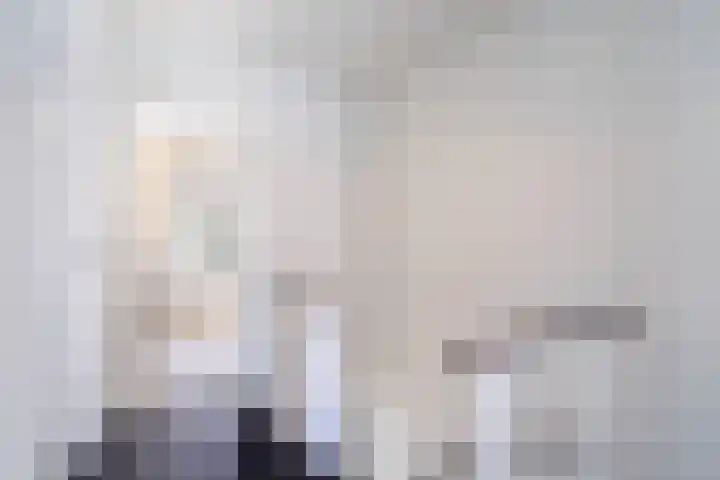 Vriesdongen 2 Breda thumbnail 29