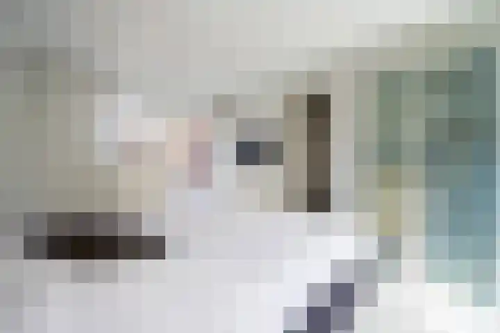 Vriesdongen 2 Breda thumbnail 32