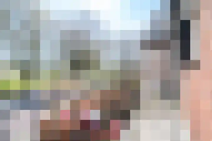 Vriesdongen 2 Breda thumbnail 34