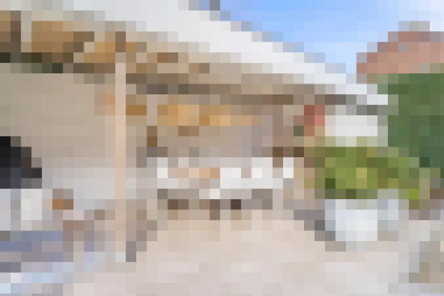 Vriesdongen 2 Breda thumbnail 4