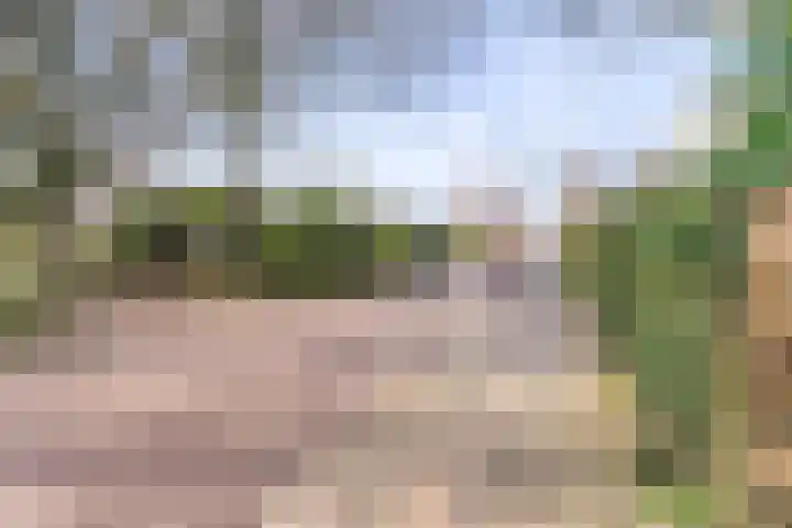 Vriesdongen 2 Breda thumbnail 46