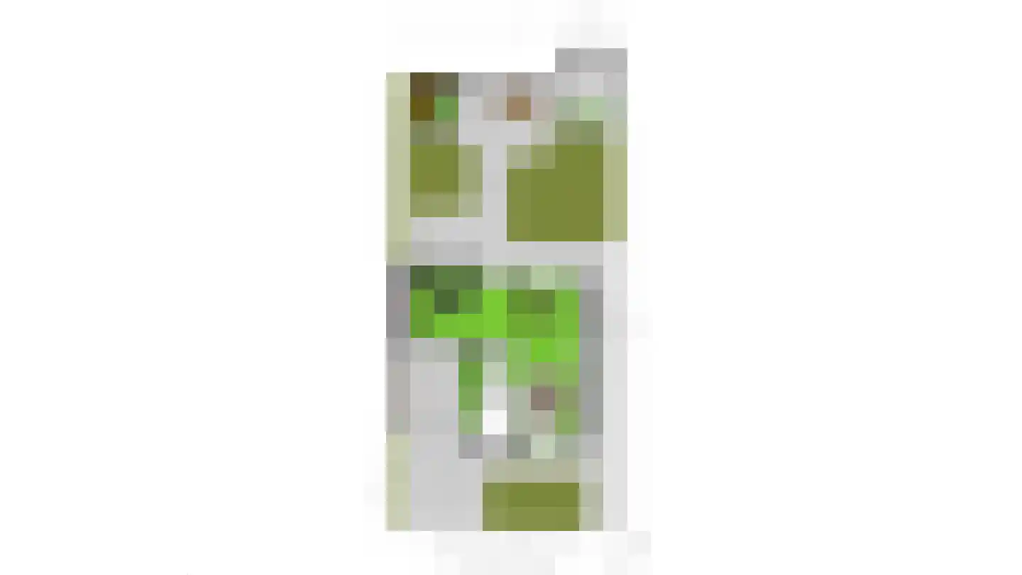 Vriesdongen 2 Breda thumbnail 47