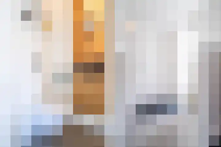 Vriesdongen 2 Breda thumbnail 7