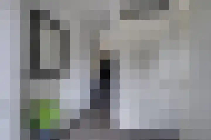 Vriesdonk 10 Biezenmortel thumbnail 10