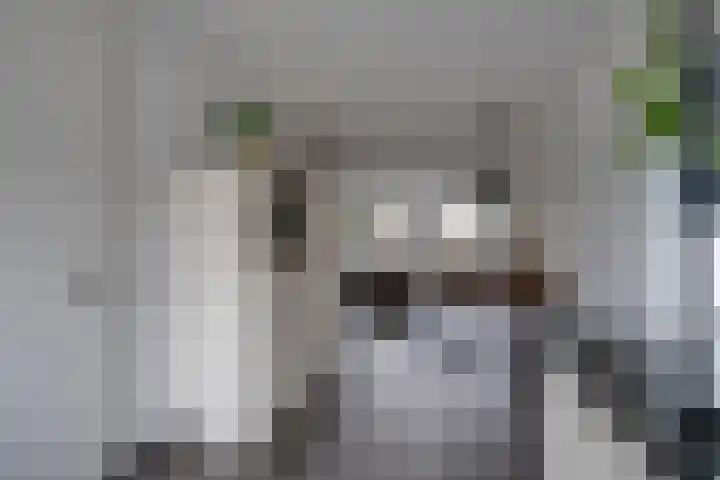 Vriesdonk 10 Biezenmortel thumbnail 15