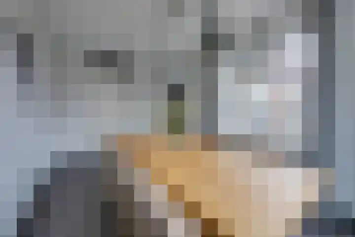 Vriesdonk 10 Biezenmortel thumbnail 20