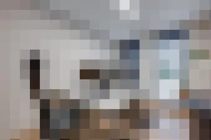 Vriesdonk 10 Biezenmortel thumbnail 24