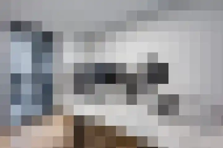Vriesdonk 10 Biezenmortel thumbnail 25