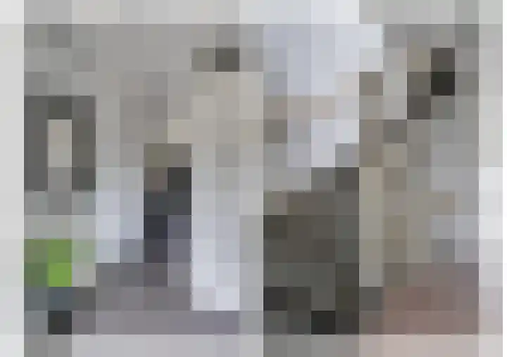 Vriesdonk 10 Biezenmortel thumbnail 28