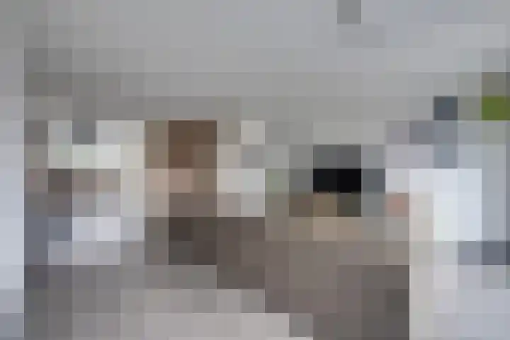 Vriesdonk 10 Biezenmortel foto 3