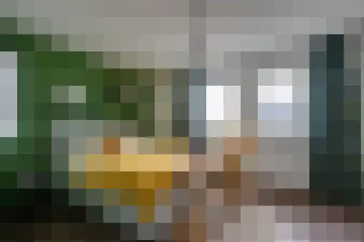 Vriesdonk 10 Biezenmortel thumbnail 30